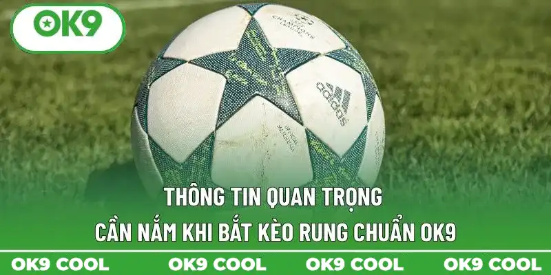 Thông tin quan trọng cần nắm khi bắt kèo rung chuẩn OK9